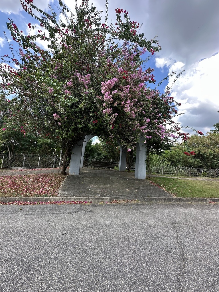 Residencial Renaissance